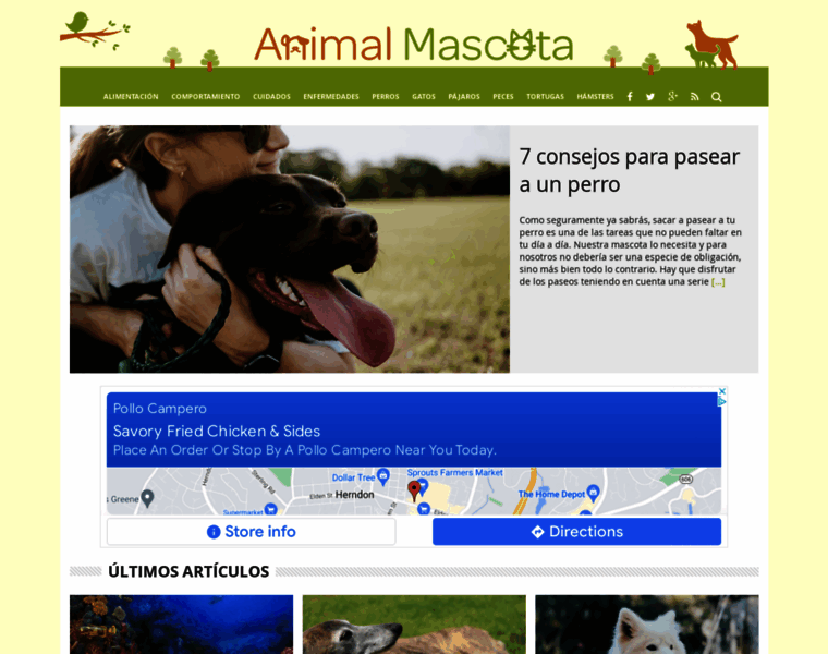 Animalmascota.com thumbnail