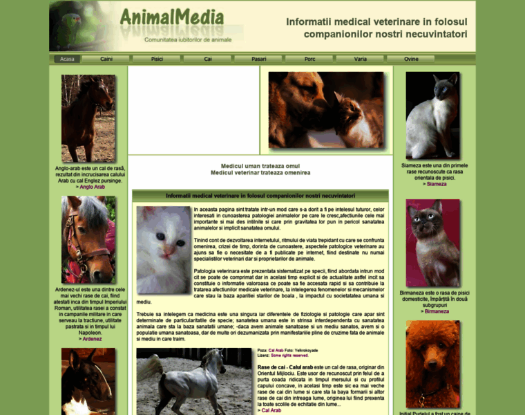 Animalmedia.eu thumbnail