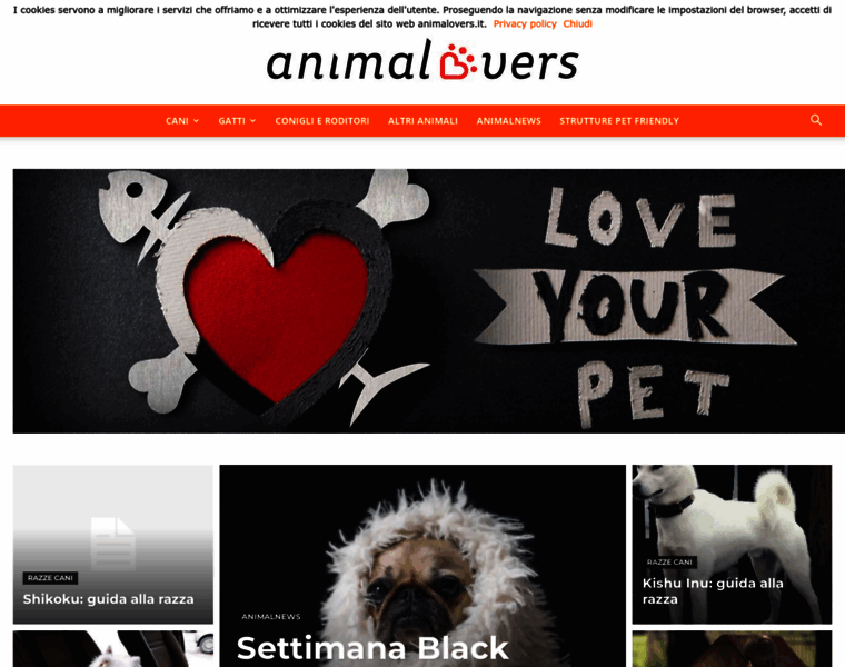 Animalovers.it thumbnail