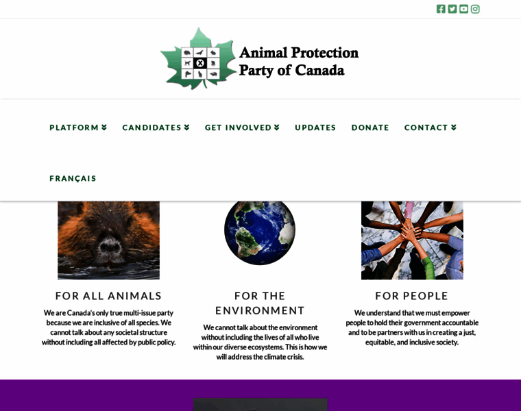 Animalprotectionparty.ca thumbnail