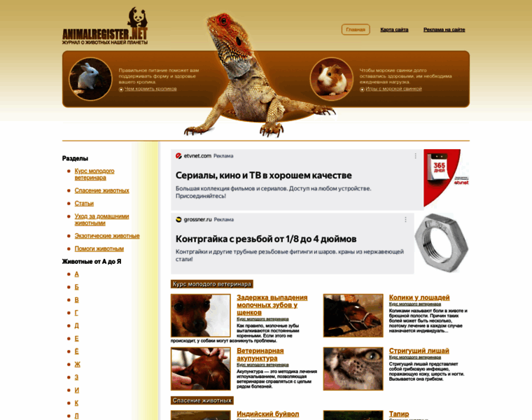 Animalregister.net thumbnail