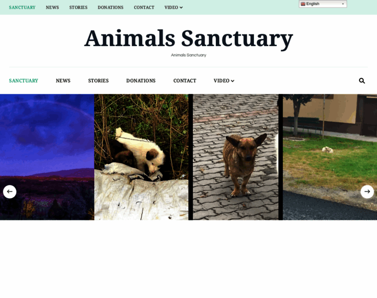 Animals-sanctuary.com thumbnail