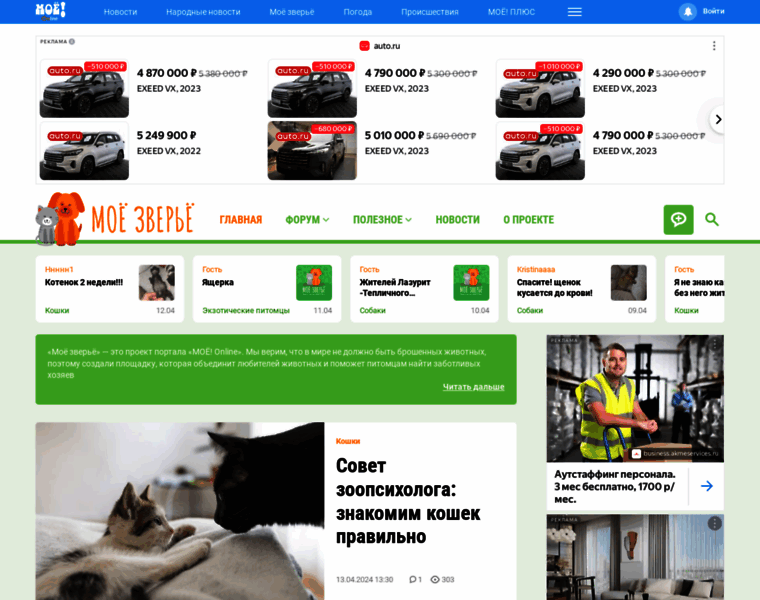 Animals.moe-online.ru thumbnail