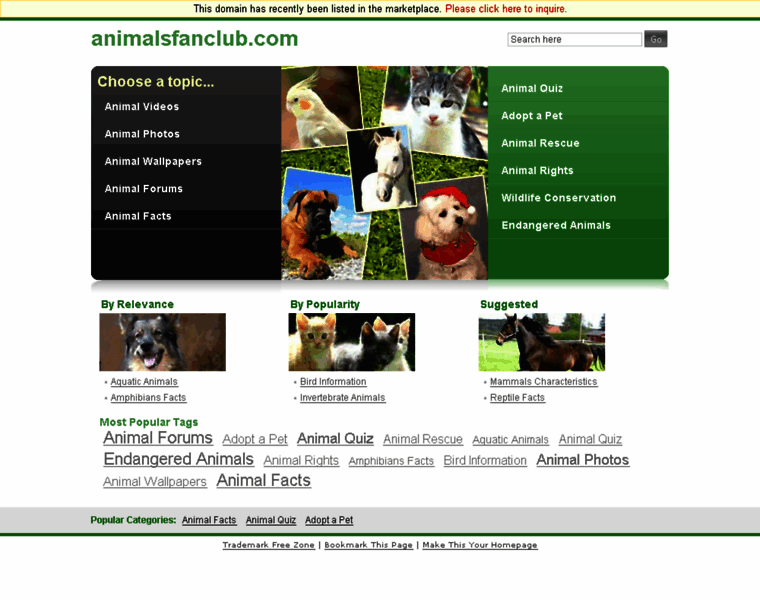 Animalsfanclub.com thumbnail