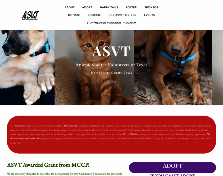 Animalsheltervolunteersoftexas.com thumbnail