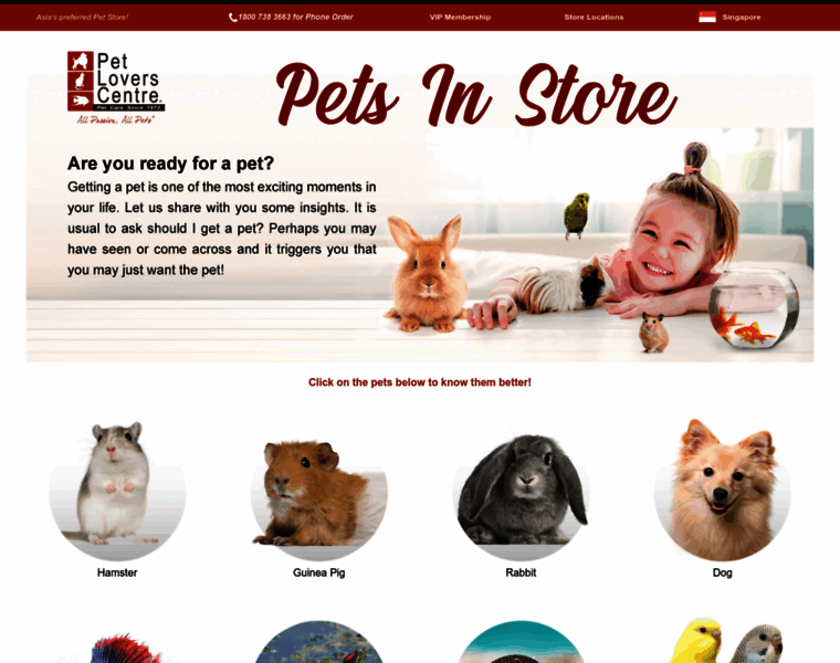 Animalsinstore.petloverscentre.com thumbnail