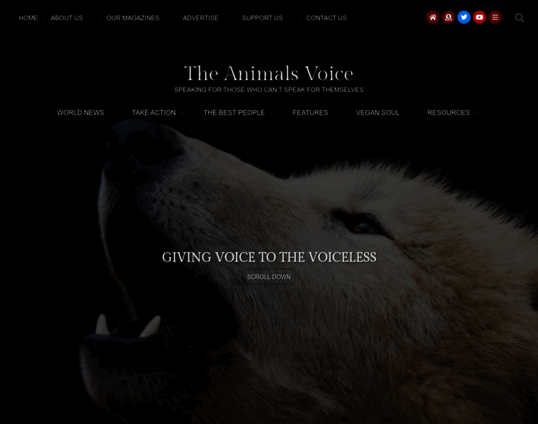 Animalsvoice.com thumbnail