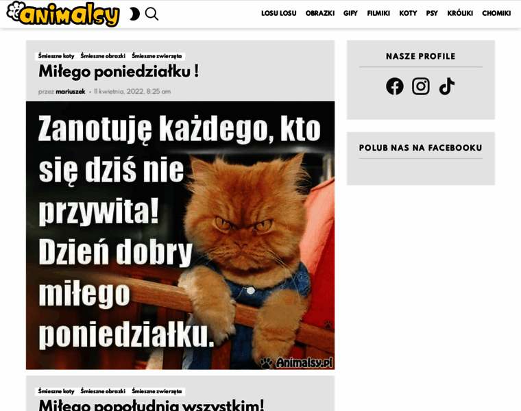 Animalsy.pl thumbnail