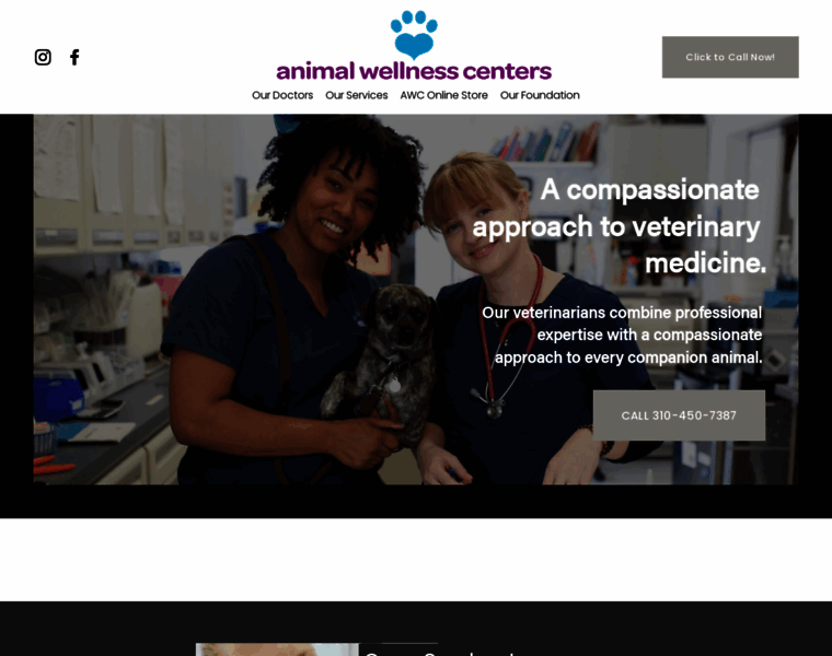 Animalwellnesscenters.com thumbnail