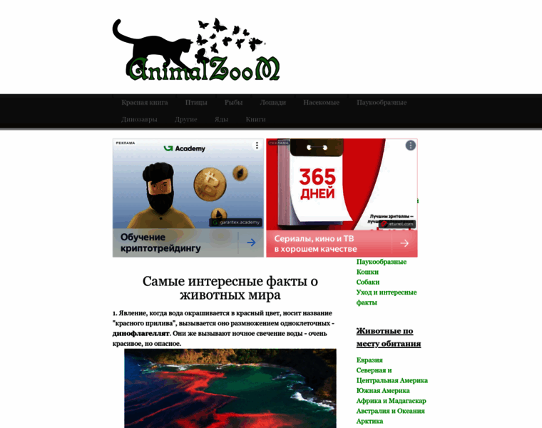 Animalzoom.ru thumbnail