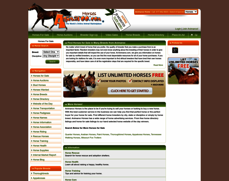 Animaroohorses.com thumbnail