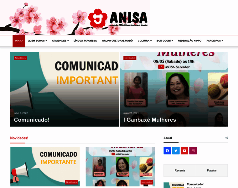 Anisa.com.br thumbnail