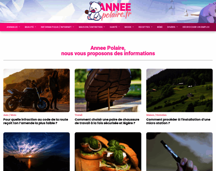 Annee-polaire.fr thumbnail