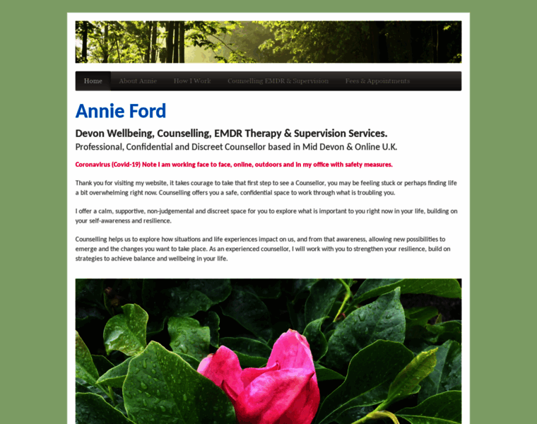 Annieford.co.uk thumbnail