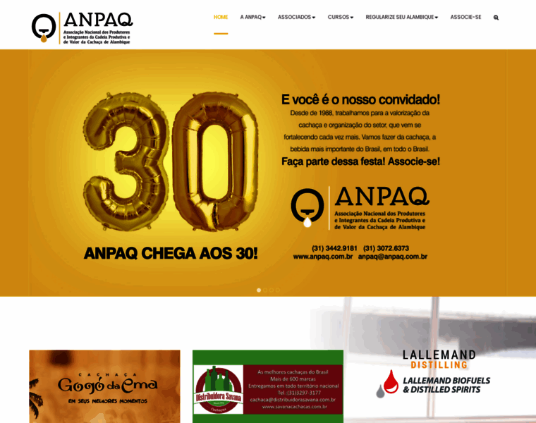 Anpaq.com.br thumbnail