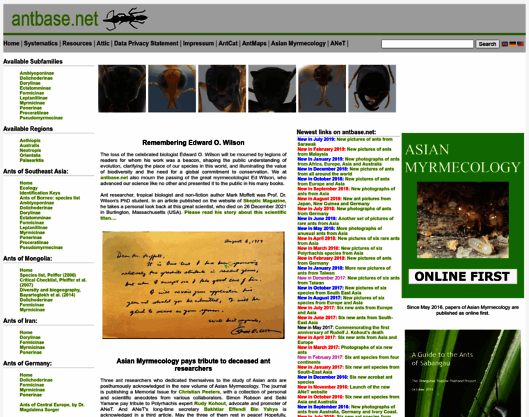 Antbase.net thumbnail Antbase.net thumbnail