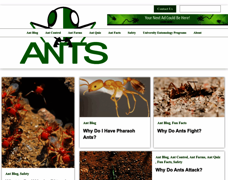 Ants.com thumbnail