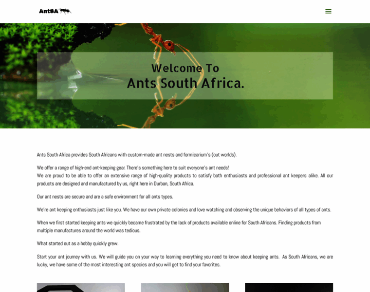 Antssouthafrica.com thumbnail