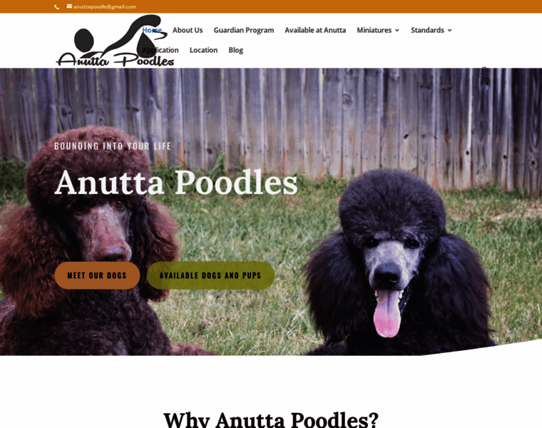 Anutta.com thumbnail