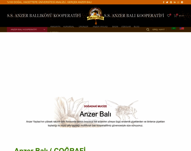 Anzerbal.com thumbnail