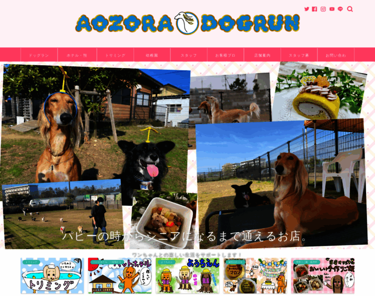 Aozora-d.jp thumbnail