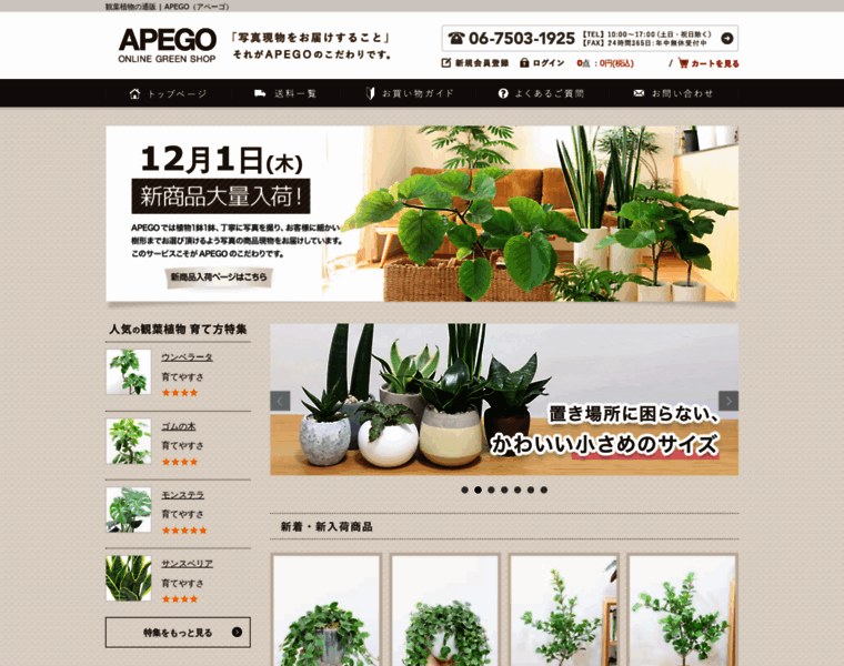 Apego.jp thumbnail