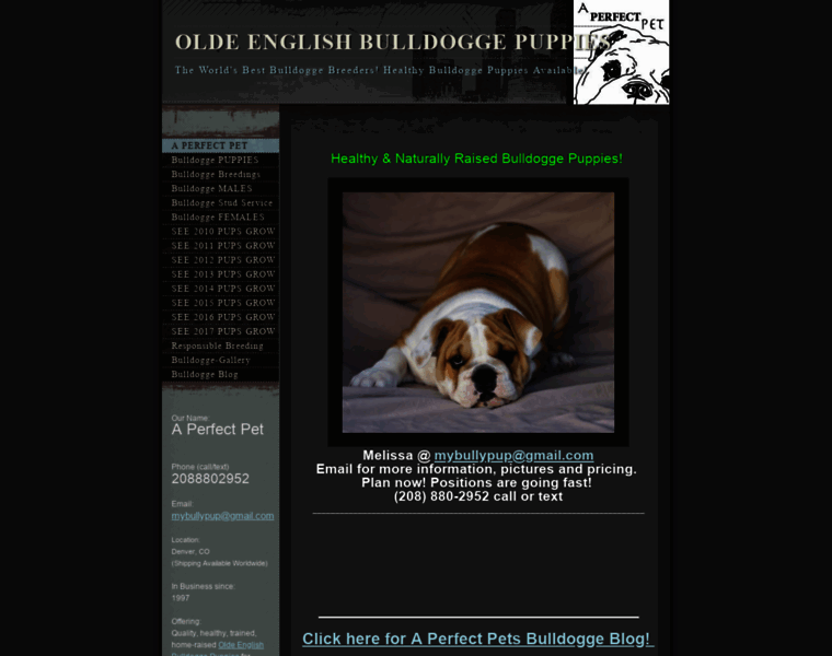Aperfectbulldogge.com thumbnail