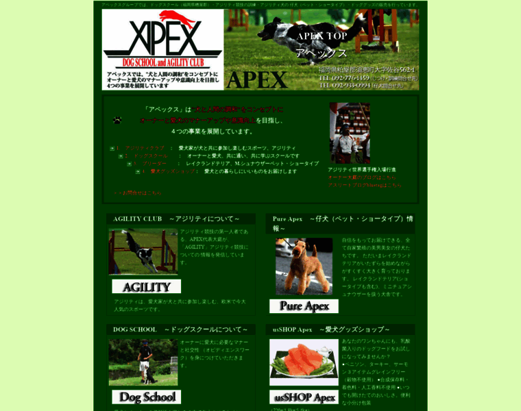 Apex-agc.com thumbnail