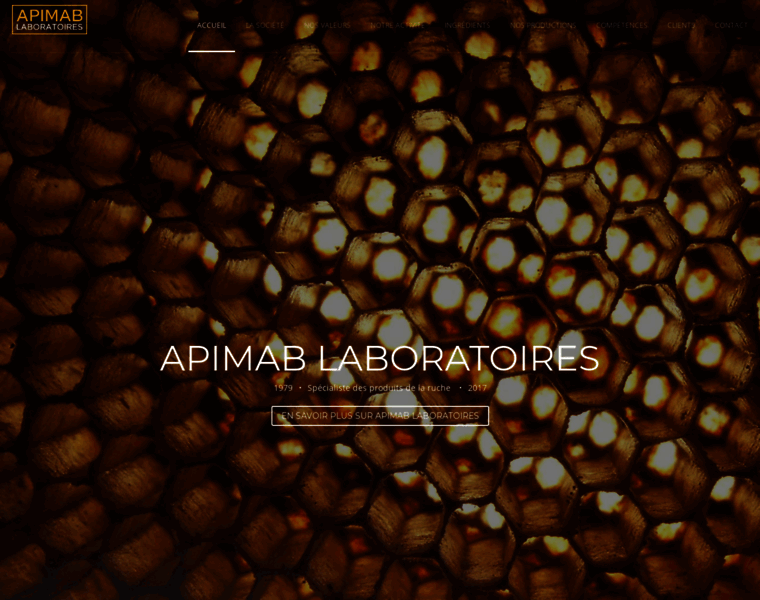 Apimab-laboratoires.fr thumbnail