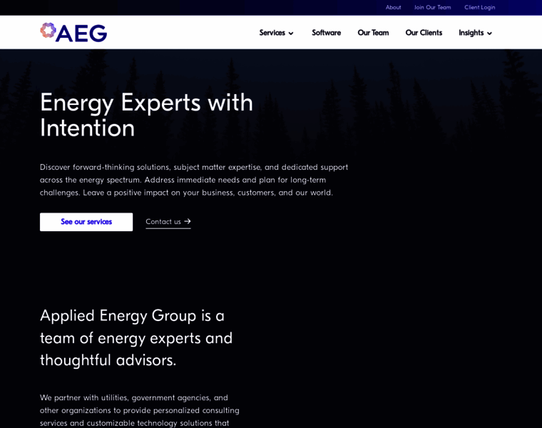 Appliedenergygroup.com thumbnail