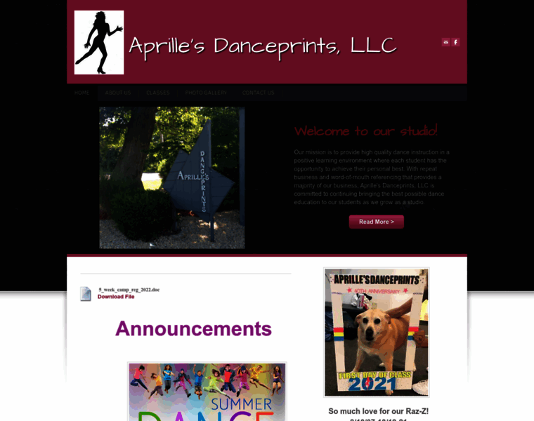 Aprillesdanceprints.com thumbnail