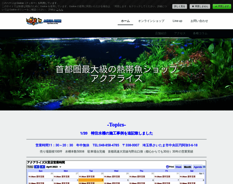 Aqua-rise.jp thumbnail