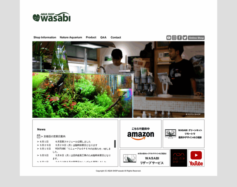 Aqua-wasabi.com thumbnail