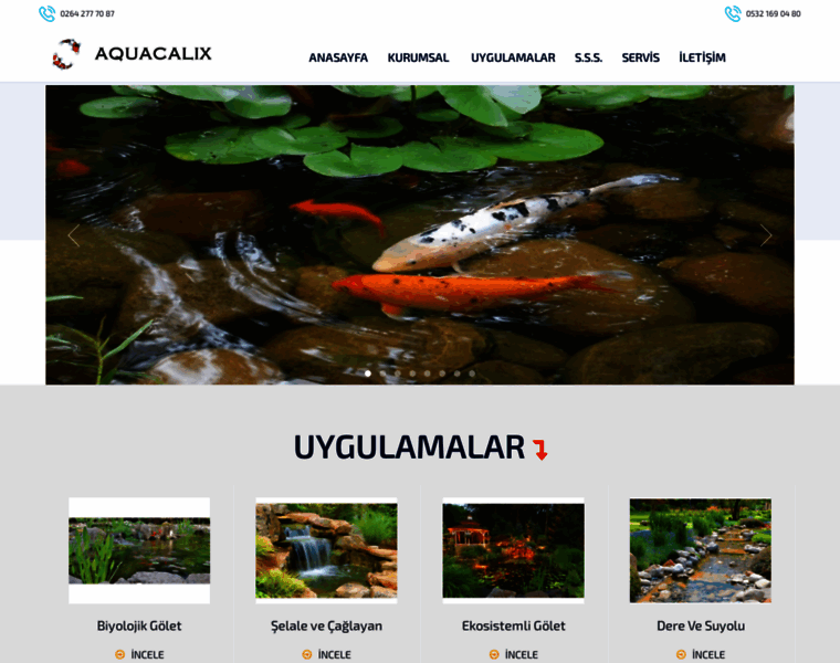Aquacalix.com thumbnail