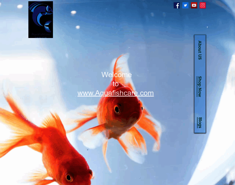 Aquafishcare.com thumbnail