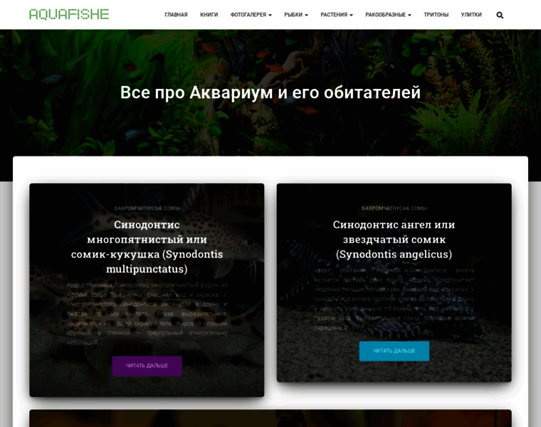 Aquafishe.ru thumbnail