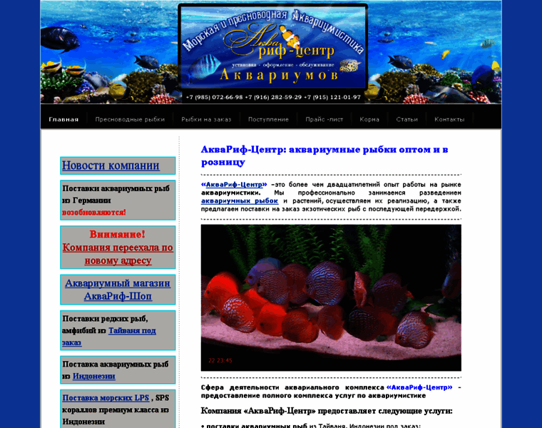 Aquareef.jimdo.com thumbnail