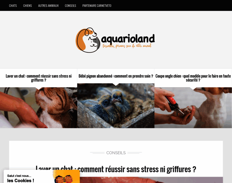 Aquarioland.com thumbnail