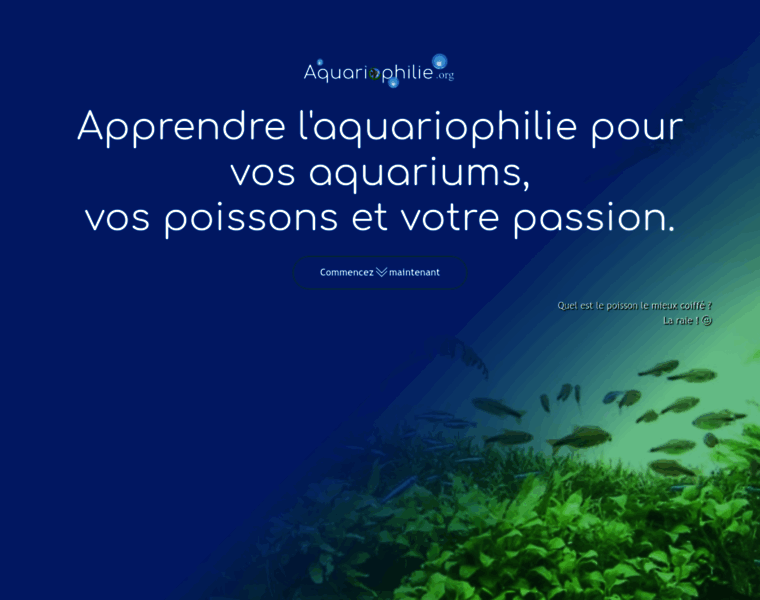 Aquariophilie.org thumbnail