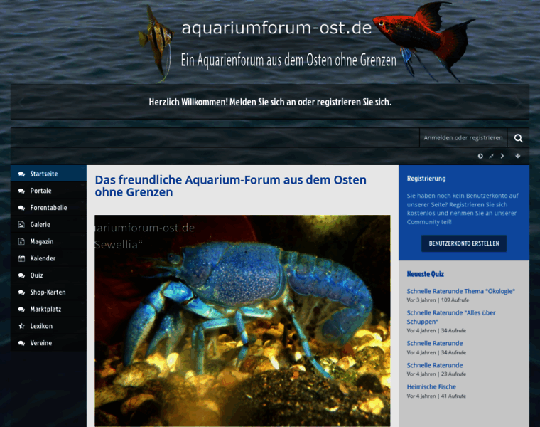 Aquarium-bb.de thumbnail