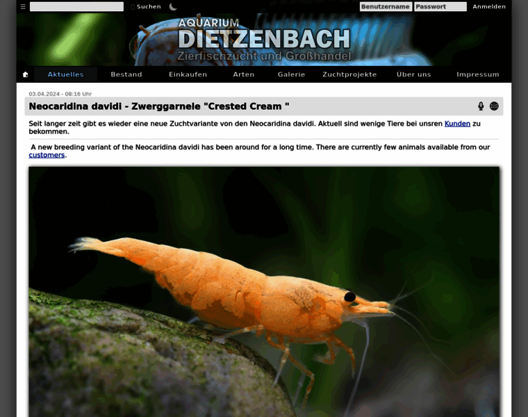 Aquarium-dietzenbach.de thumbnail