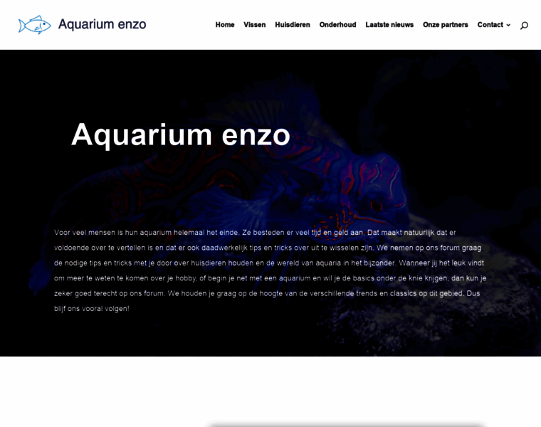 Aquarium-enzo.nl thumbnail
