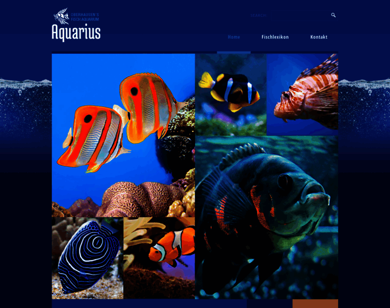 Aquarium-ob.de thumbnail