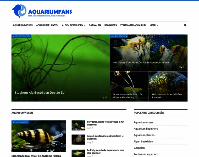 Aquariumfans.nl thumbnail