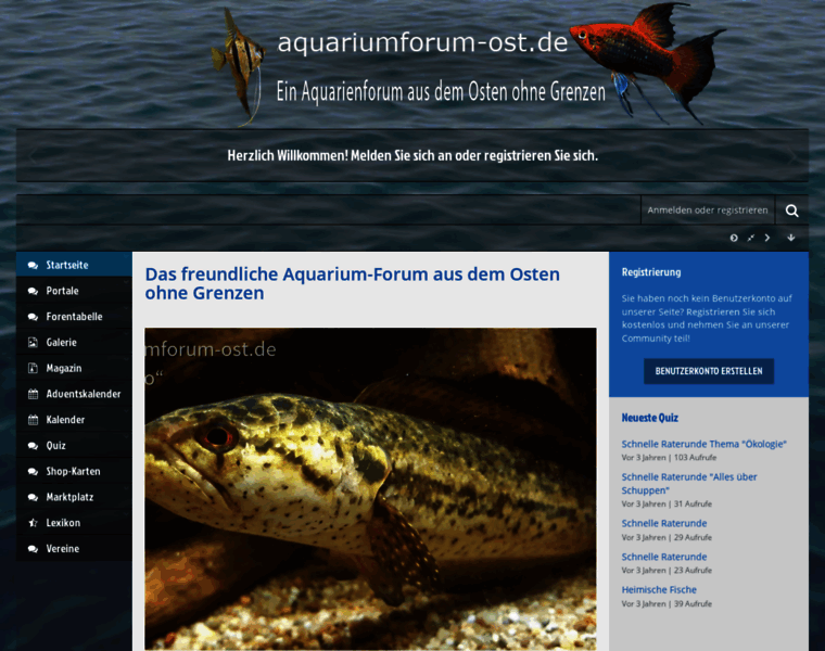 Aquariumforum-ost.de thumbnail