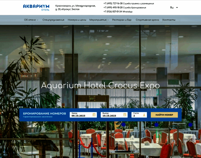 Aquariumhotel.ru thumbnail
