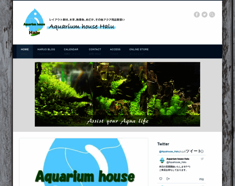 Aquariumhousehalu.com thumbnail