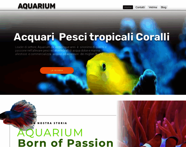 Aquariumnet.it thumbnail