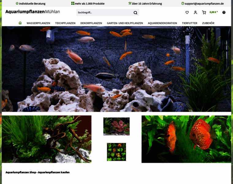 Aquariumpflanzen.de thumbnail