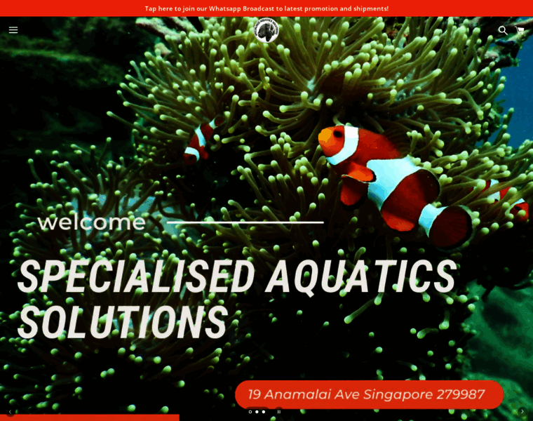 Aquatics.sg thumbnail